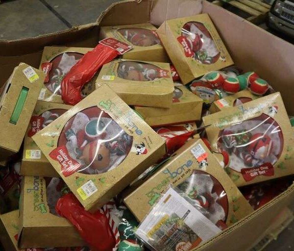 Dog Toys Pallet